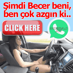 Erdemli ziynet